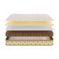 Ortho Magic Essential by Kurlon | Latex Mattress