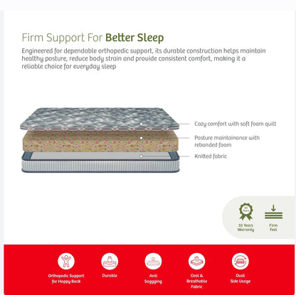 Kurlon Fombed Ortho (New Launch)